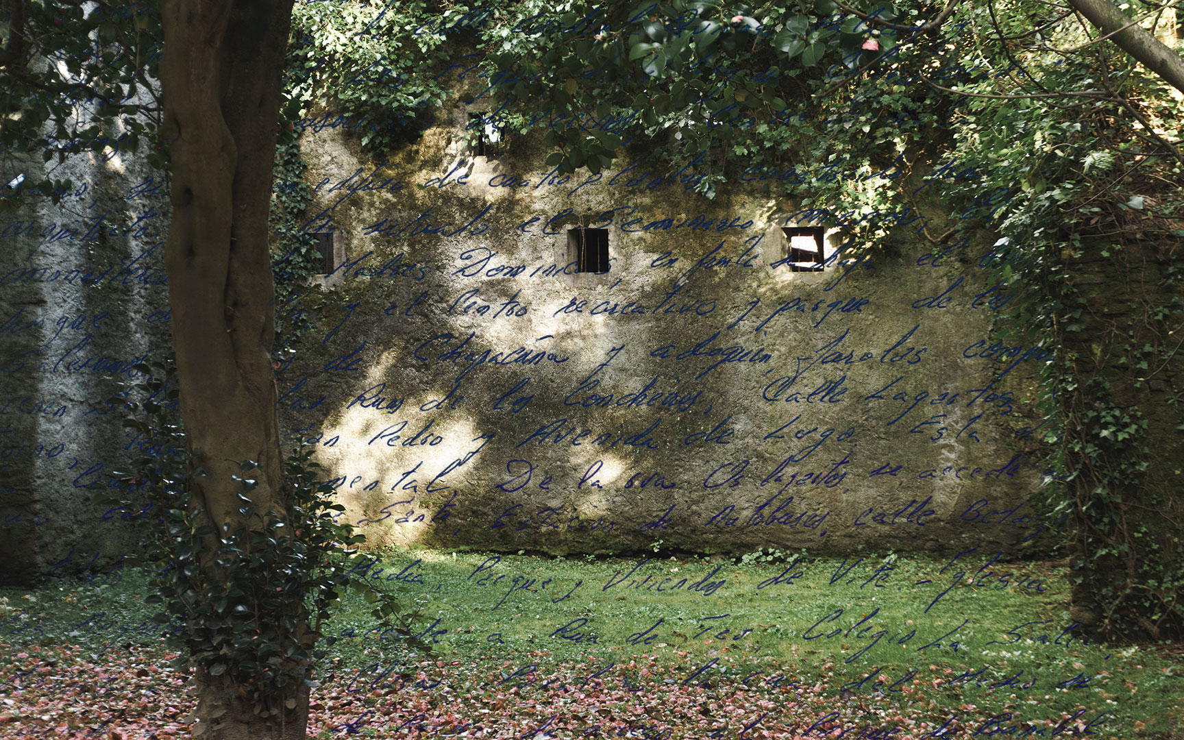 Composición fotográfica de una carta escrita a mano sobre la esquina de un parque